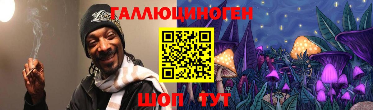 Псилоцибиновые грибы MAGIC MUSHROOMS  Вход с VPN  Калуга 